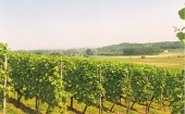 Limburg